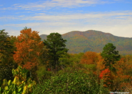 Autumn at Adawehi