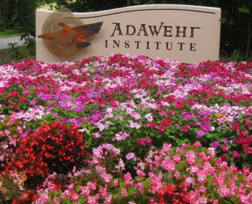 Adawehi Institute
