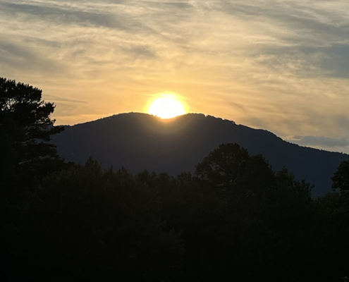 Peace article, by Jackie Woods