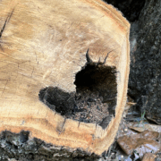 Creating New Spaces by Jackie Woods