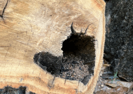 Creating New Spaces by Jackie Woods