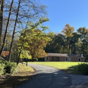 Creating Together by Jackie Woods