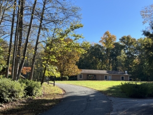 Creating Together by Jackie Woods