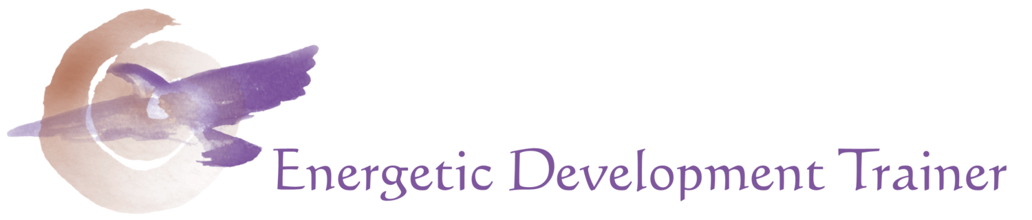 Energetic Development Trainer Certification