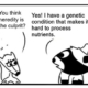 Ratchet & Spin Comics: Genetics