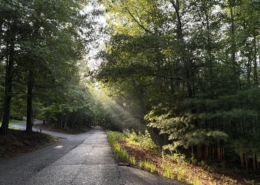 "Getting Past Confusing Messages" by Jackie Woods