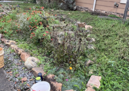 Growing Up Love by Jackie Woods