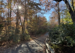 Grumble or Change. Article by Jackie Woods