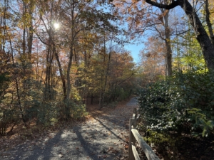 Grumble or Change. Article by Jackie Woods