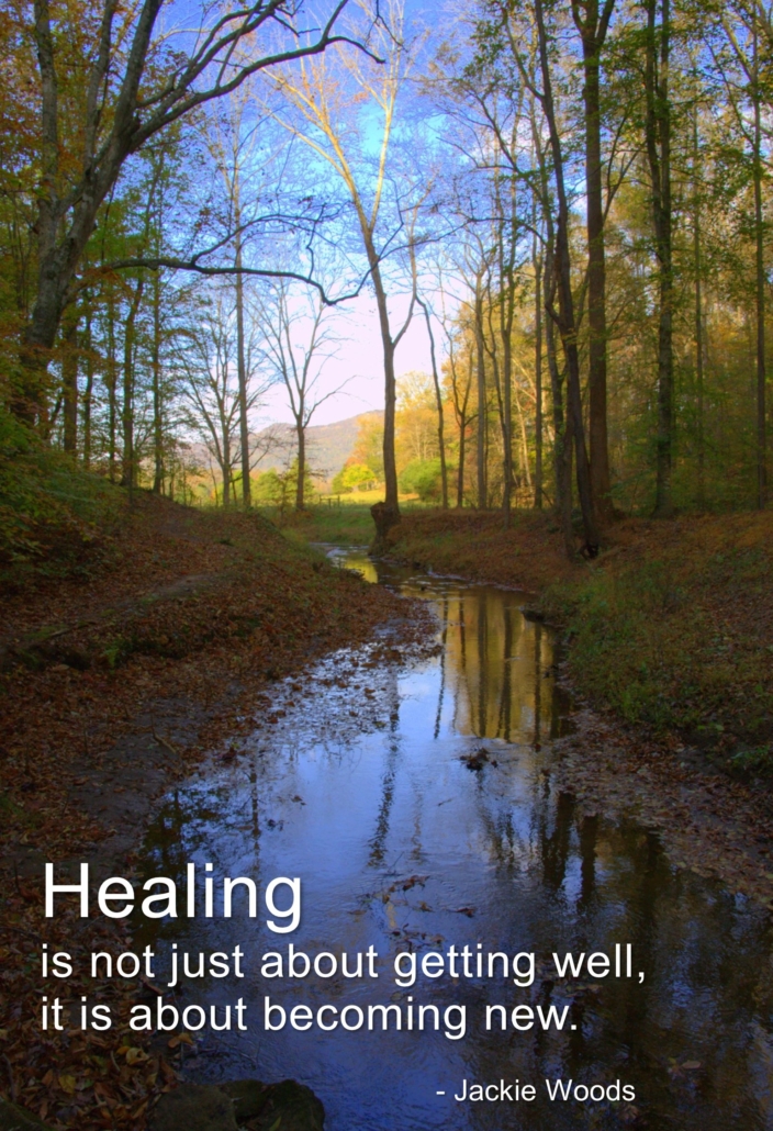 Healing as an Energetic Development Trainer