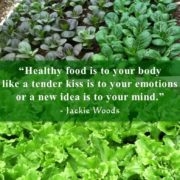 Healthy Food by Jackie Woods