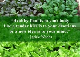 Healthy Food by Jackie Woods