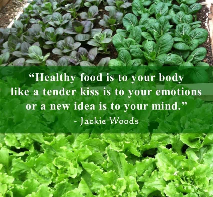 Healthy Food by Jackie Woods
