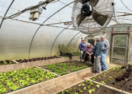 Adawehi Community Greenhouse