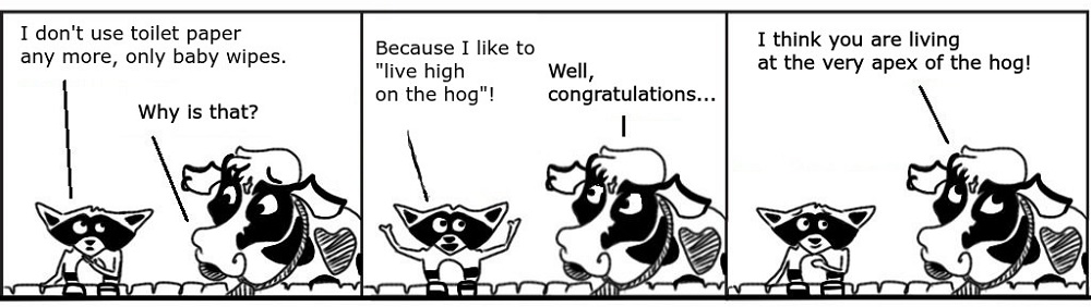 Ratchet & Spin: Hog
