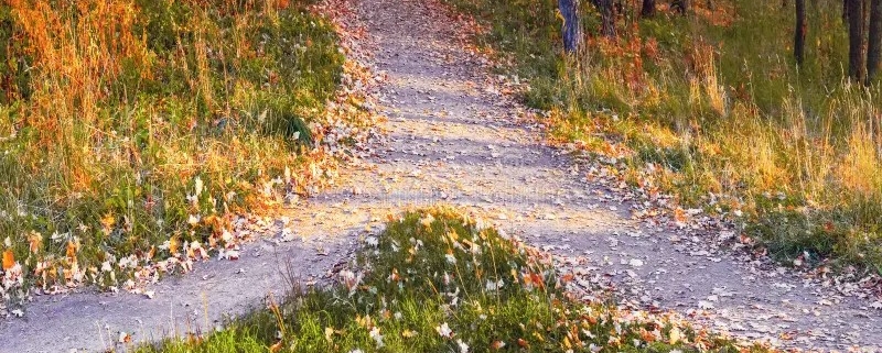 The heart quality of Relationship