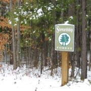 Stewardship Forest at Adawehi