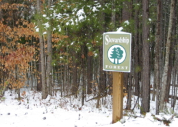 Stewardship Forest at Adawehi