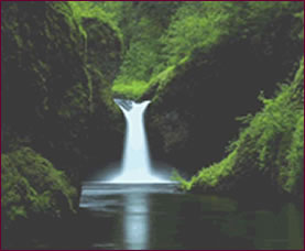 generosity GENEROSITY